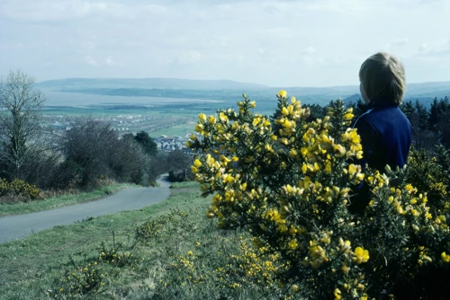 02 Apr 1983 · Somerset & North Devon: Day 2 Holford to Exford YH