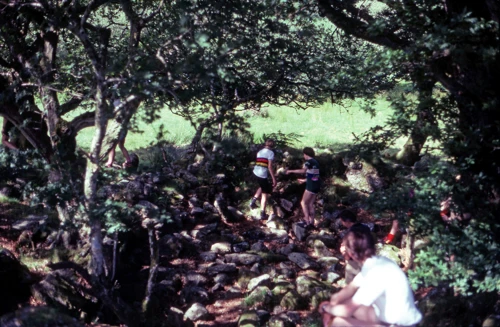 26 Jul 1981 · Week Ford Blowing House