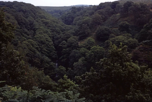 02 Sep 1981 · Wales: Day 5: Ystradfellte to Home