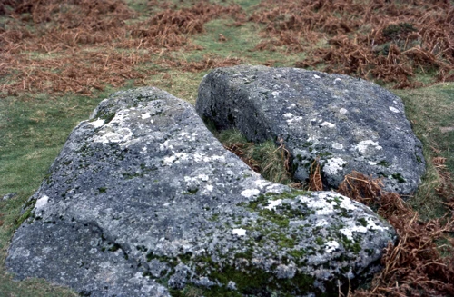 29 Nov 1981 · Pixies Cave, Dartmeet