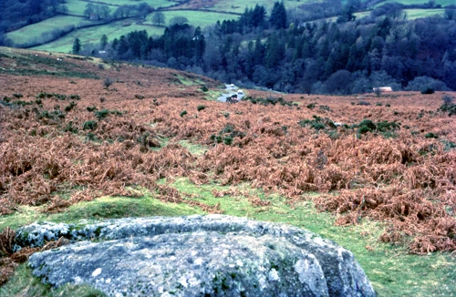 29 Nov 1981 · Pixies Cave, Dartmeet
