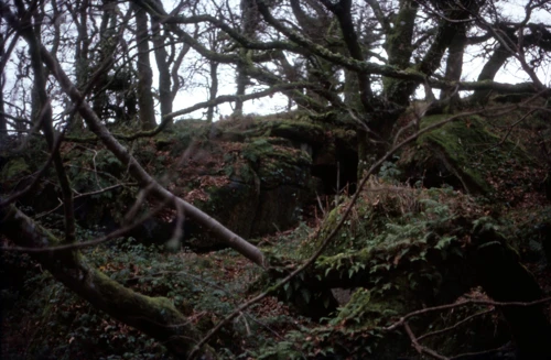 29 Nov 1981 · Pixies Cave, Dartmeet