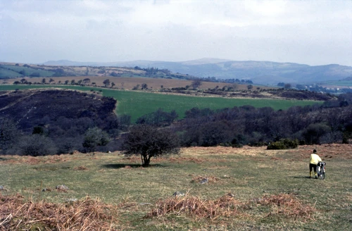 18 Apr 1982 · Scoriton Down