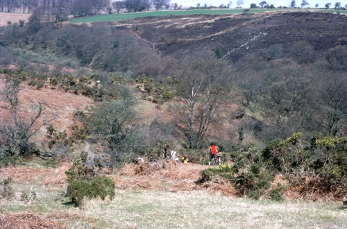 18 Apr 1982 · Scoriton Down