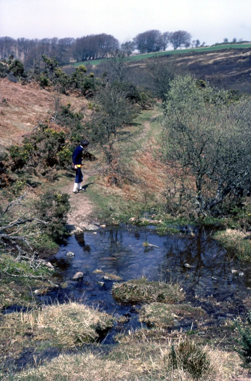 18 Apr 1982 · Scoriton Down