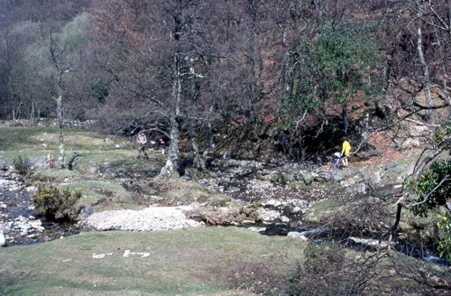 18 Apr 1982 · Scoriton Down