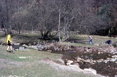 18 Apr 1982 · Scoriton Down