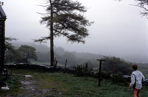 01 Sep 1982 · Snowdonia: Day 5: Gerddi Bluog to Dinas Mawddwy YH