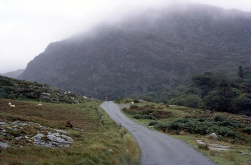 01 Sep 1982 · Snowdonia: Day 5: Gerddi Bluog to Dinas Mawddwy YH
