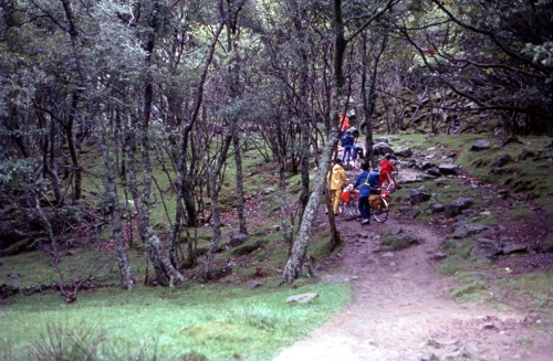 01 Sep 1982 · Snowdonia: Day 5: Gerddi Bluog to Dinas Mawddwy YH