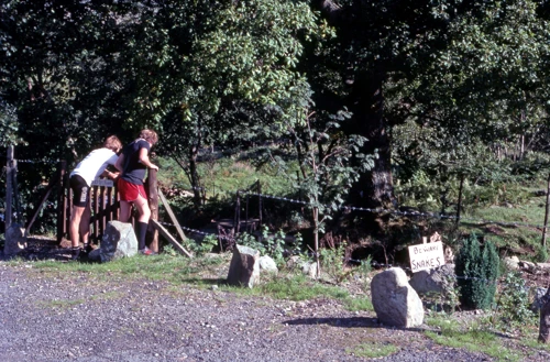 02 Sep 1982 · Snowdonia: Day 6: Dinas Mawddwy to Corris YH
