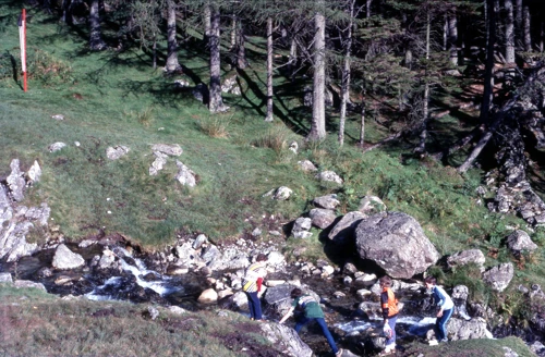 02 Sep 1982 · Snowdonia: Day 6: Dinas Mawddwy to Corris YH