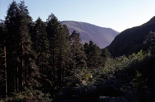 02 Sep 1982 · Snowdonia: Day 6: Dinas Mawddwy to Corris YH