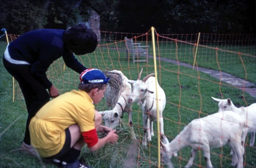 03 Sep 1982 · Snowdonia: Day 7: Corris to Bridges YH