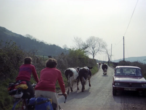 06 Apr 1980 · Slimbridge and Somerset: Day 3: Slimbridge to Street