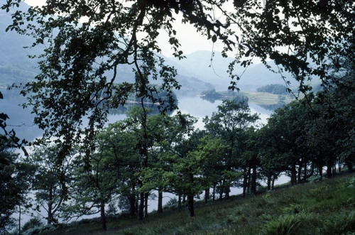 19 Aug 1983 · Scotland: Day 2 Rowardennan to Trossachs YH