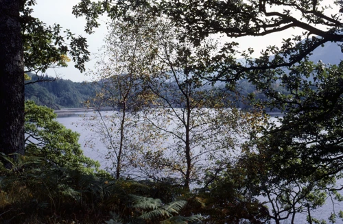 19 Aug 1983 · Scotland: Day 2 Rowardennan to Trossachs YH
