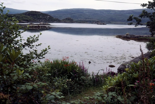 22 Aug 1983 · Scotland: Day 5 Glencoe to Tobermory YH