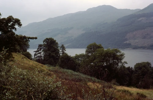 25 Aug 1983 · Scotland: Day 8 Inverary to Loch Lomond YH