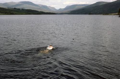 17 Aug 1984 · Scottish Highlands and Islands: Day 2, Loch Lomond to Loch Ossian YH