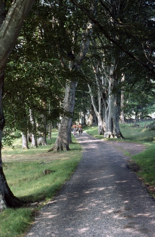 26 Aug 1984 · Scottish Highlands and Islands: Day 11 Carn Dearg to Ullapool YH