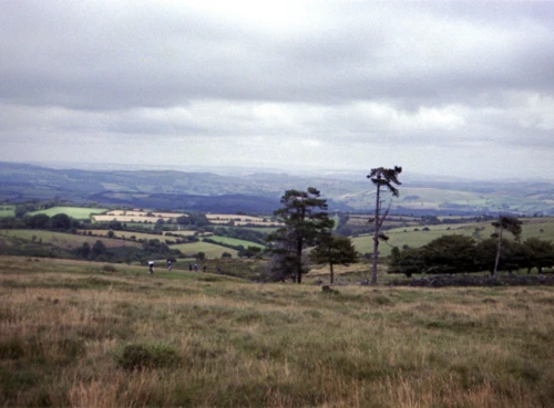 10 Aug 1980 · Petre's Cross