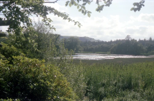 07 Sep 1980 · Stover Lake