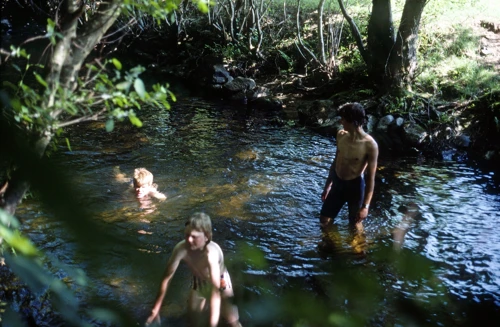 Report photo