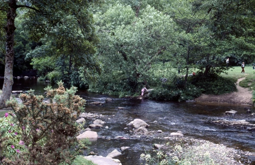 Report photo