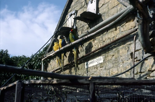 21 Apr 1984 · Cotswolds: Day 2: Duntisbourne Abbots to Charlbury YH