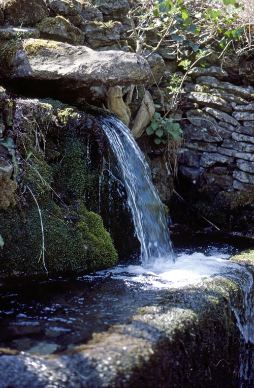 23 Apr 1984 · Cotswolds: Day 4: Cleeve Hill to Home