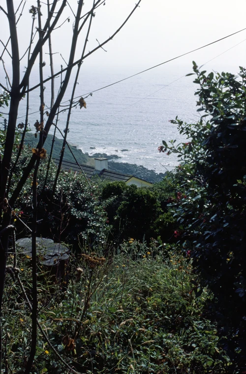 24 Jul 1984 · Cornwall: Day 4: Coverack to Lands End YH