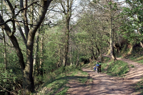 18 Apr 1981 · North Devon: Day 2: Elmscott to Instow YH