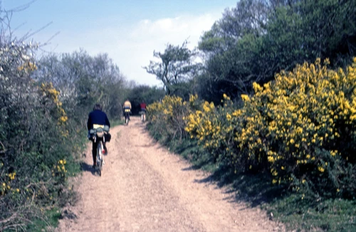 19 Apr 1981 · North Devon: Day 3: Instow to Lynton YH